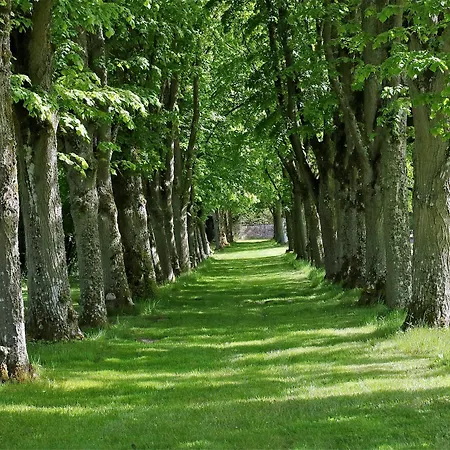 מלון Chateau-hotel De 2*