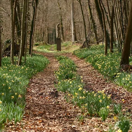 シャトー オテル ドゥ ブロン ホテル ブロン・マルロット