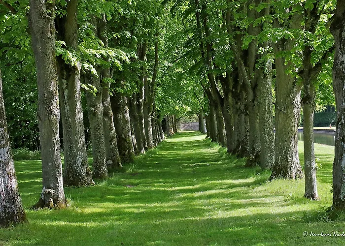 Hotel Chateau-hotel De 2*