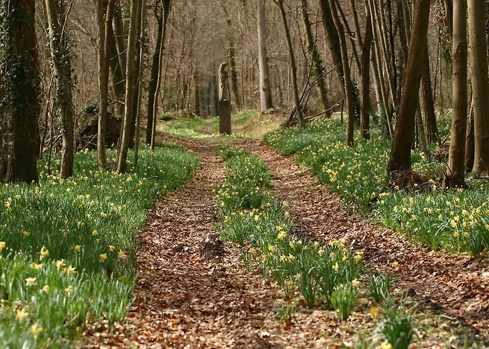 Chateau-hotel De Hotel Bourron-Marlotte